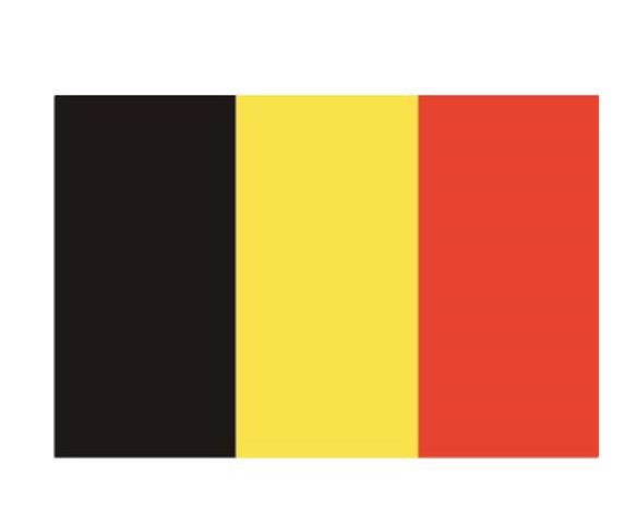 DRAPEAU BELGIQUE TISSUS 50X75CM