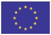 DRAPEAU EUROPÉEN TISSUS 100X150CM